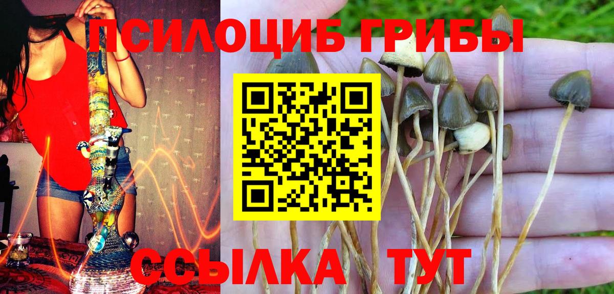 Псилоцибиновые грибы мухоморы  Вход с VPN  Тулун 