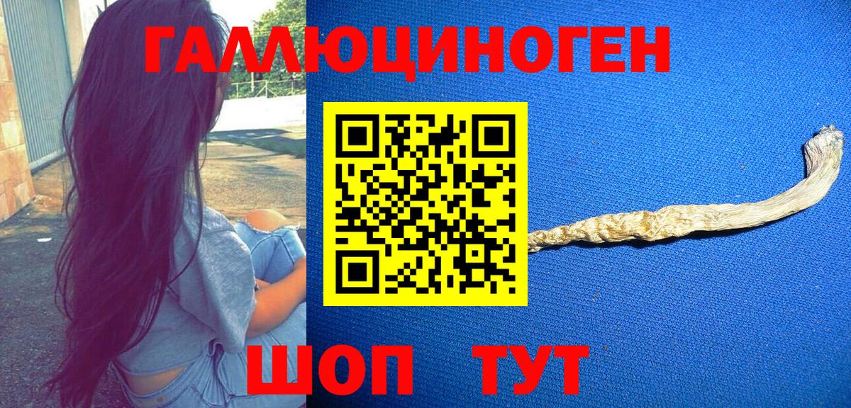 Галлюциногенные грибы ЛСД Тулун